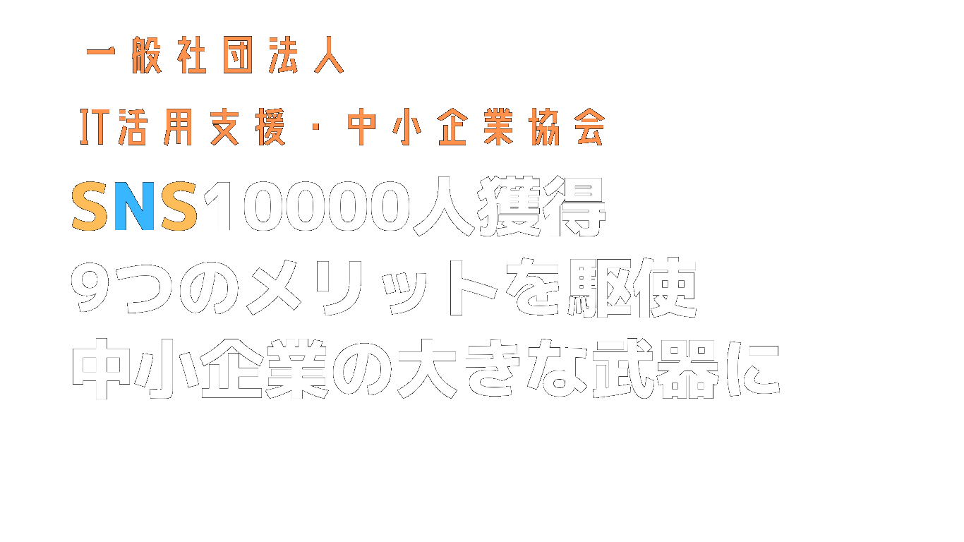 トップSNS10000人獲得 9つのメリットを駆使 中小企業の大きな武器に (1)